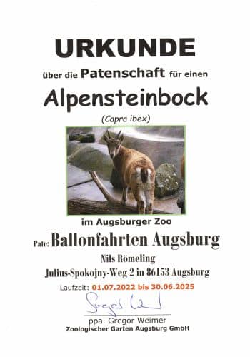 Patenschaft mit einem Steinbock des Zoos Augsburg